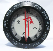 wrist compass gauge